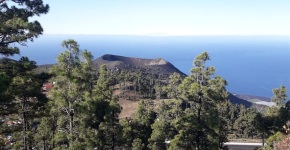 La Palma: San Antonio and Teneguia Volcanos Tour by 4x4 Bus