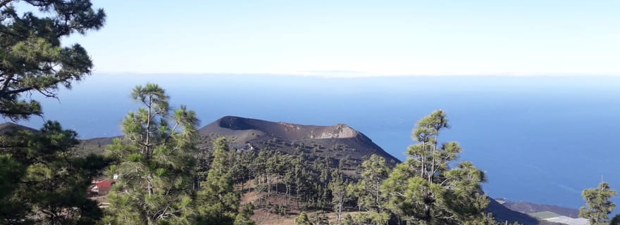 La Palma : visite en bus 4x4 des volcans San Antonio et Teneguia