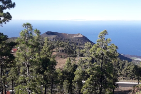 La Palma : South Tour to the volcanoes by bus 4x4 Los Cancajos-Pick up Pharmacy bus stop