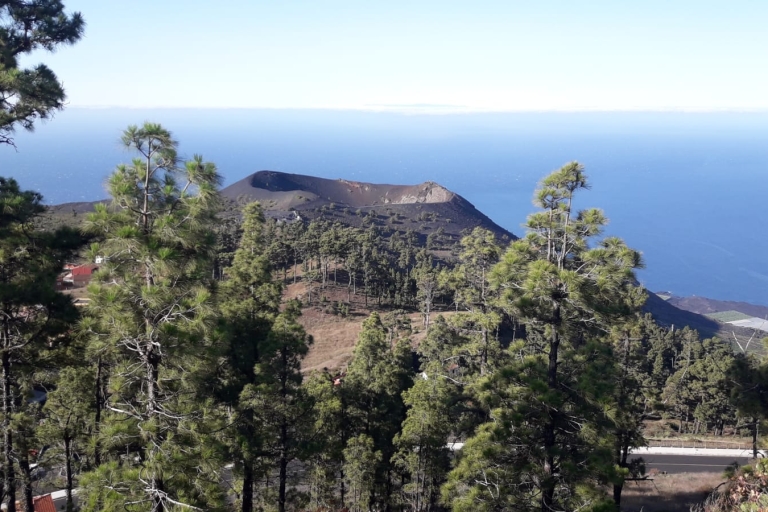 La Palma: Tour naar het zuiden naar de vulkanen per bus 4x4Los Cancajos-Pick up Apotheek bushalte