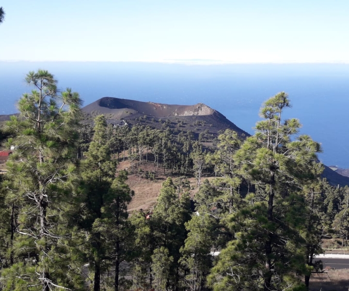 La Palma : Sud Tour ai vulcani in autobus 4x4