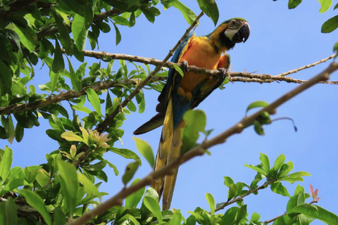UTV & Horseback Tour with Wildlife Views from Cartagena