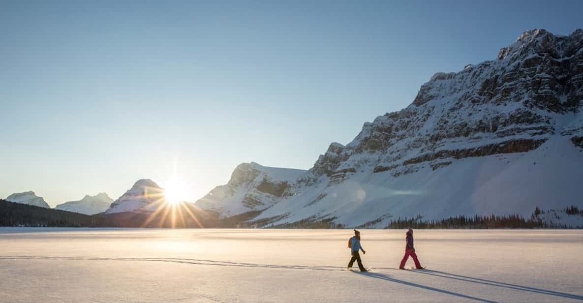 Banff Guided Snowshoe Adventure GetYourGuide