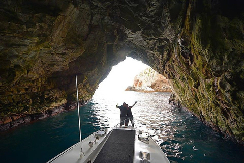 Van Hobart: dagtocht naar Maria Island met hotelovername