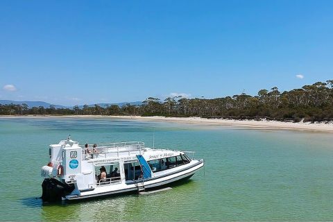 From Hobart: Day Trip to Maria Island with Hotel Pickup