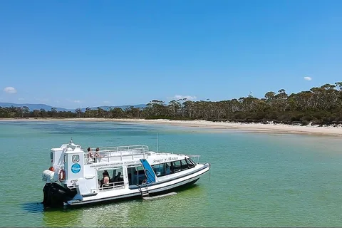 Depuis Hobart : Visite en bus d'une journée à l'île Maria