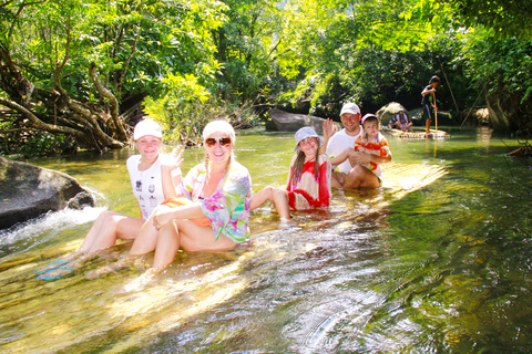 De Phuket: visite privée de la conservation des éléphants et des tortues de mer