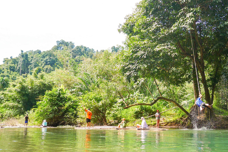 Desde Phuket: tour privado de conservación de elefantes y tortugas marinas