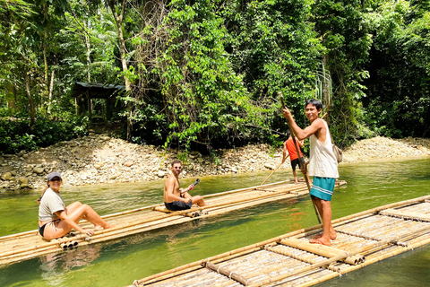 Da Phuket: Tour privato della conservazione degli elefanti e delle tartarughe marineDa Phuket: tour privato per la conservazione di elefanti e tartarughe marine