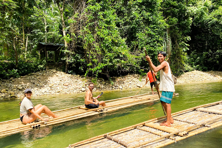 De Phuket: visite privée de la conservation des éléphants et des tortues de mer