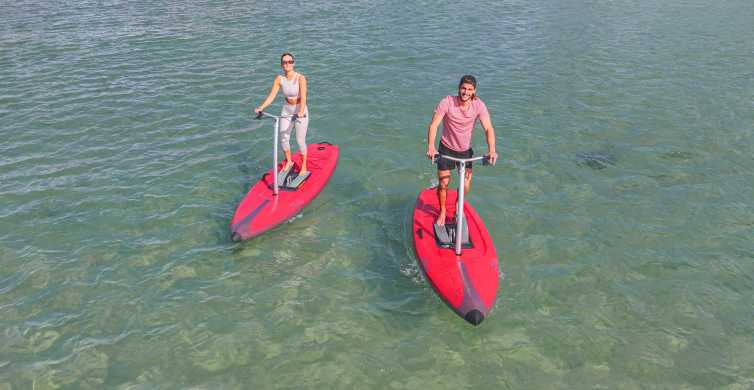 Guided Step Up Paddle Board Tour of Sydney’s Pittwater GetYourGuide