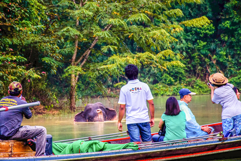 Khao Lak: Nocleg w ośrodku nad jeziorem Cheow Lan z posiłkami