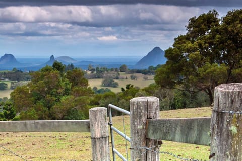 Sunshine Coast: Hinterland Country Drive Tour Inc. Lunch