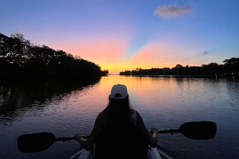 Wycieczka kajakiem Sundowner z przewodnikiem