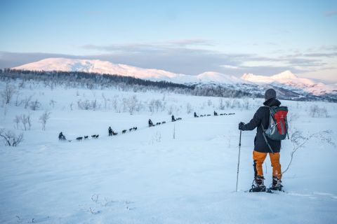 Da Tromsø: escursione guidata con le ciaspole con gli husky e visita al campo degli husky