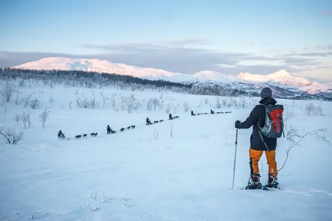 Au départ de Tromsø : Randonnée guidée en raquettes à Husky et visite du camp des Husky