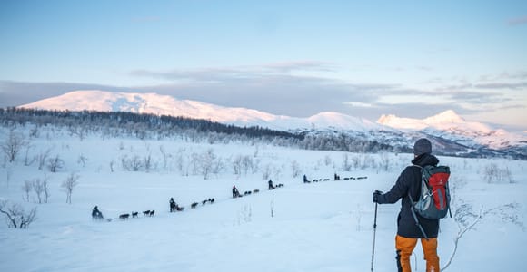 From Tromsø: Guided Husky Snowshoe Hike and Husky Camp Visit