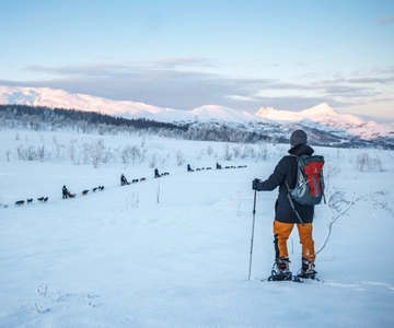 From Tromsø: Guided Husky Snowshoe Hike and Husky Camp Visit