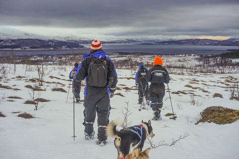 Z Tromsø: wycieczka piesza na rakietach śnieżnych i wizyta w obozie Husky