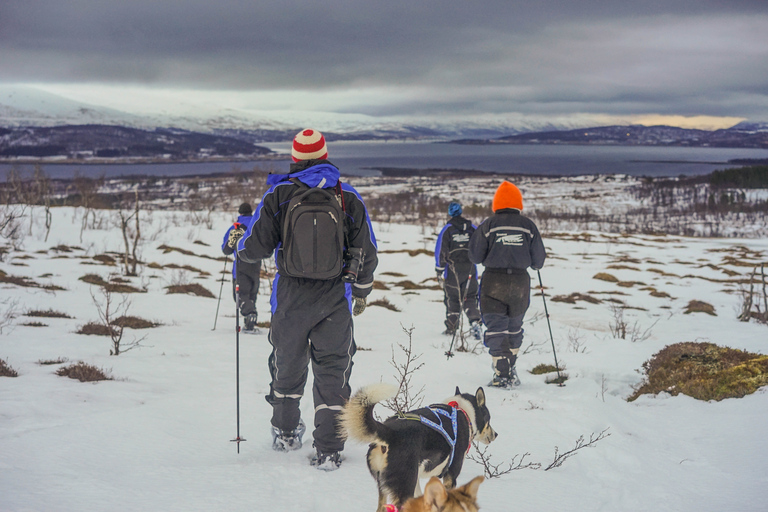 De Tromsø: Caminhada guiada com raquetes de neve e visita ao acampamento dos huskiesDe Tromsø: caminhada com raquetes de neve e visita ao acampamento Husky