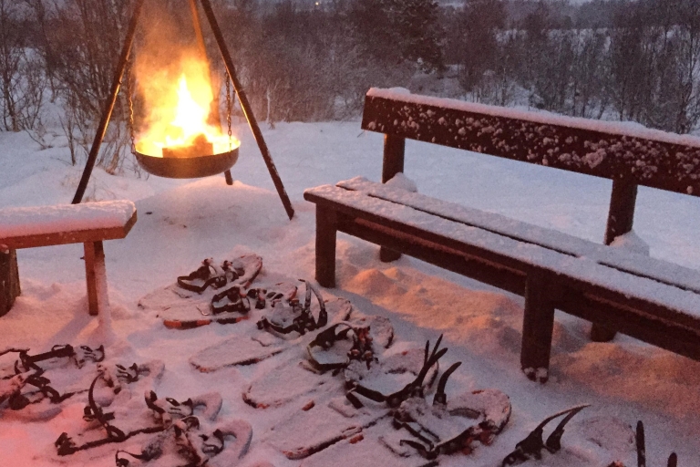 Desde Tromsø: excursión con raquetas de nieve y visita al campamento de huskies