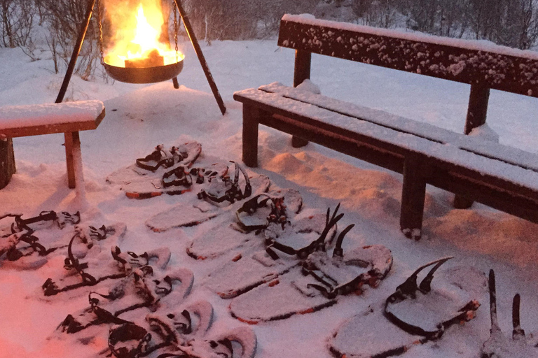 Van Tromsø: sneeuwschoenwandeltocht en Husky Camp Visit