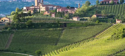 Barbaresco: E-Bike Tour durch piemontesische Weingüter mit Verkostungen