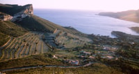 Marsiglia Vieux Port & Wine Tasting - Tour privato - Hizvo