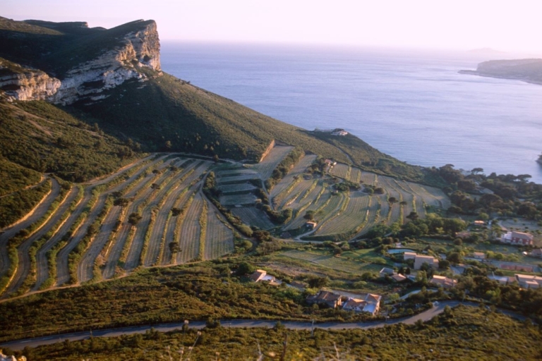 Marseille: Vieux Port & Weinverkostung - Private Tour