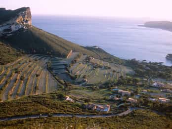 Marseille Vieux Port & Wine Tasting - Private Tour