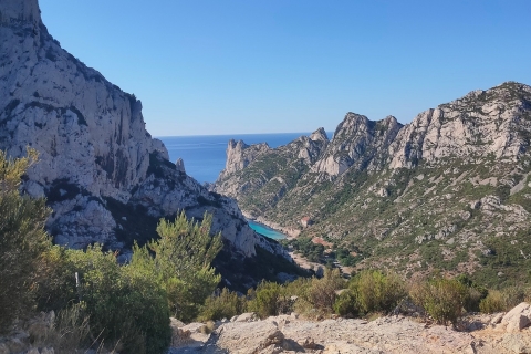 Découvrez Cassis: excursion d'une demi-journée au départ de Marseille