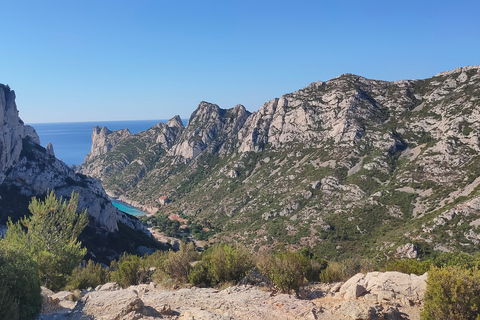 Ontdek Cassis: halve dagtour vanuit Marseille