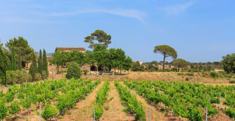 Toulon & St Tropez Côtes de Provence 8 Hour Wine Tour GetYourGuide