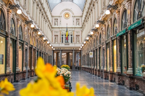 Brussels: 1 Hour Express Discovery Tour