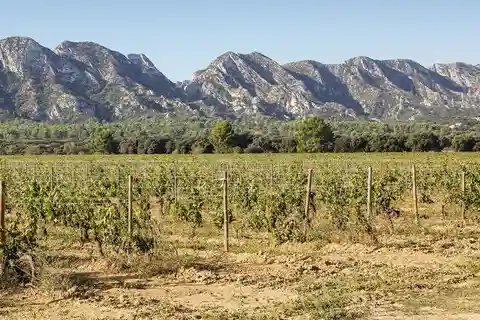 Arles, Saint-Rémy & Les Baux De Provence: Guided Tour