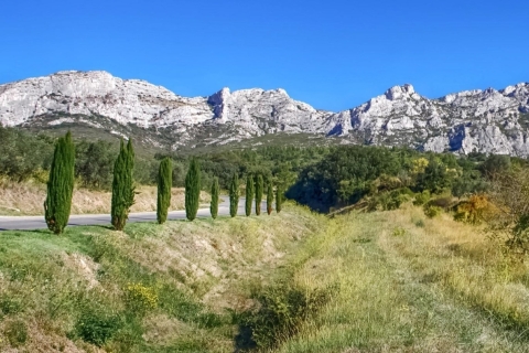 De Marseille: visite d'une journée complète des vins des Baux de ProvenceExcursion d'une journée aux Baux de Provence