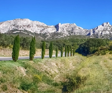 Desde Marsella: Tour enológico de un día por Les Baux de Provence