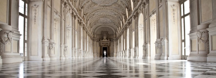 Turin: Torino+Piemonte 24-Hour City Card