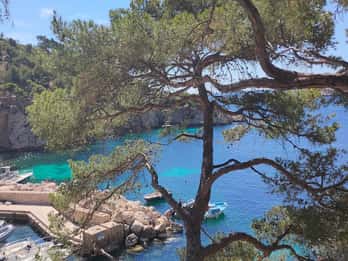 Marseille, Aix-en-Provence et Cassis - Excursion de 7 heures