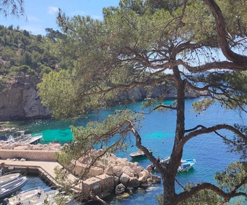 Tour de 8 horas por Marsella, Aix-en-Provence y Cassis