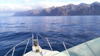 Von Playa San Juan, Whale Watching, Gigantes und Masca Bay - Hizvo