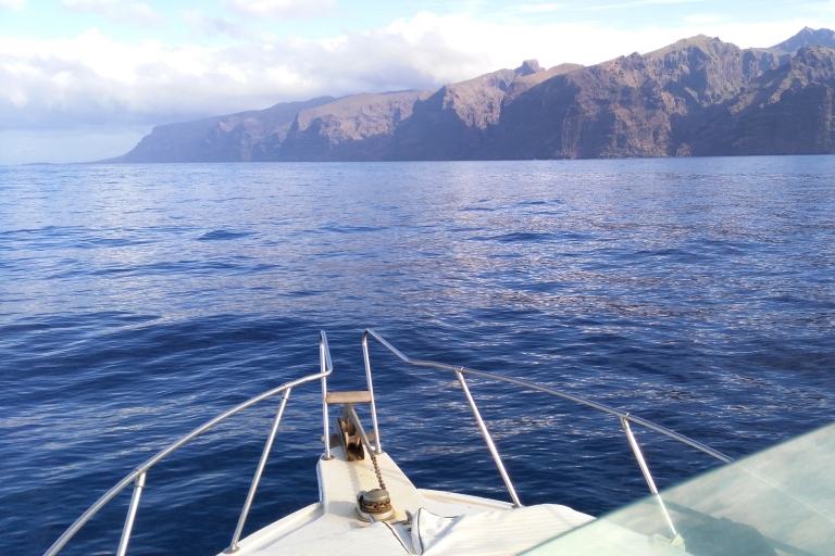 Tenerife: Whale-Watching Cruise with Snorkeling and Lunch