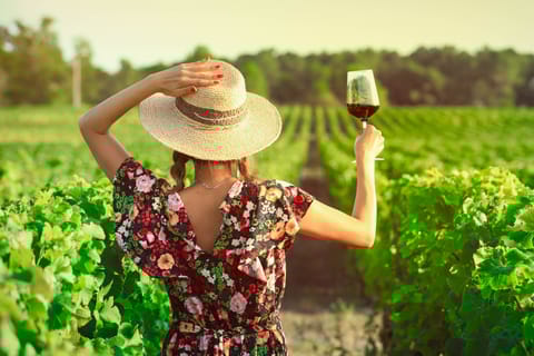 Madrid: Viaje Privado con Catas de Vinos de Ribera y Rioja