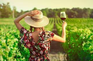 Madrid: Ribera und Rioja Wein Privatausflug mit Verkostungen