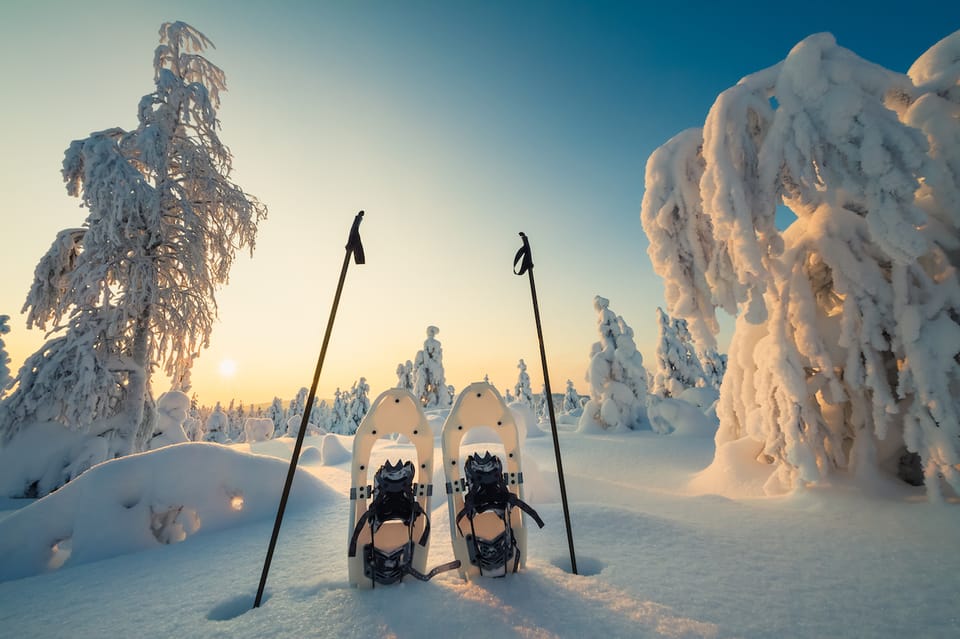 Whistler: Backcountry Snowshoeing Tour with Guide