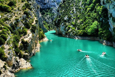 Da Nizza: tour guidato di un giorno ai campi di lavanda e alle gole del VerdonDa Nizza: Tour guidato dei campi di lavanda e delle gole del Verdon