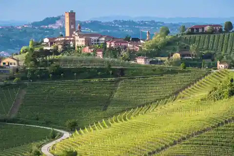 Da Neive: tour guidato in E-Bike a Barbaresco e Treiso