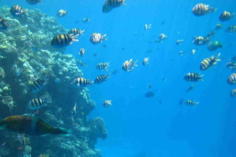 Sharm el-Sheikh: Wycieczka po wybrzeżu łodzią podwodnąSharm el-Sheikh: Wycieczka półokrętem podwodnym po wybrzeżu