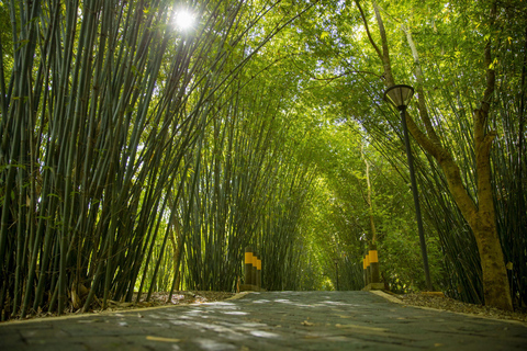 The best of Kigali city tourHalf Day Afternoon Tour.