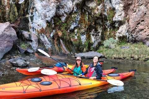 Willow Beach: excursion en kayak dans le Black Canyon avec guide et collation